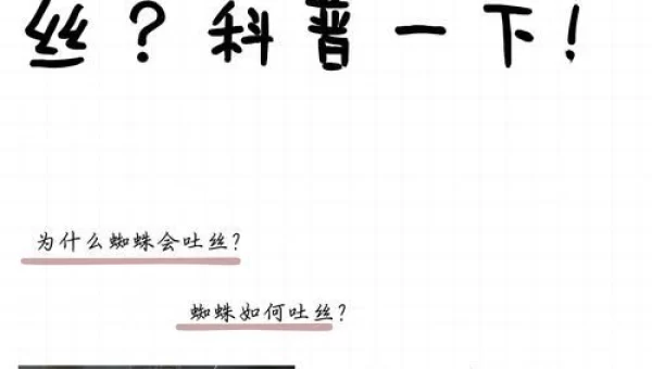 蜘蛛的丝是从哪里吐出来的