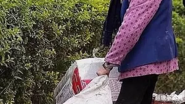 末日拾荒者