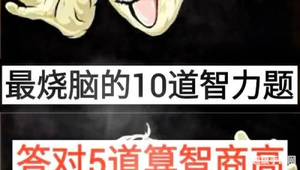 史上最烧脑挑战