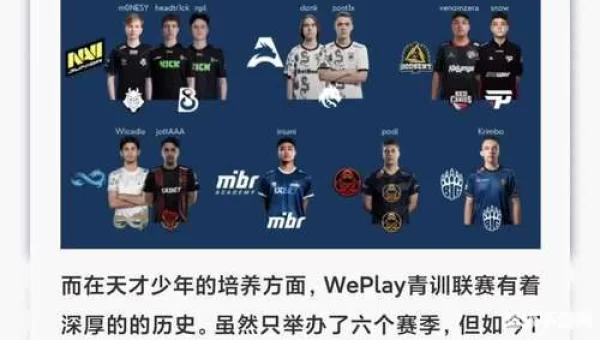 top战队简介