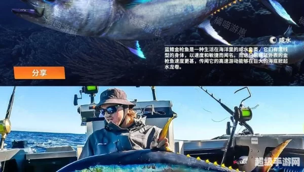 钓鱼大师
