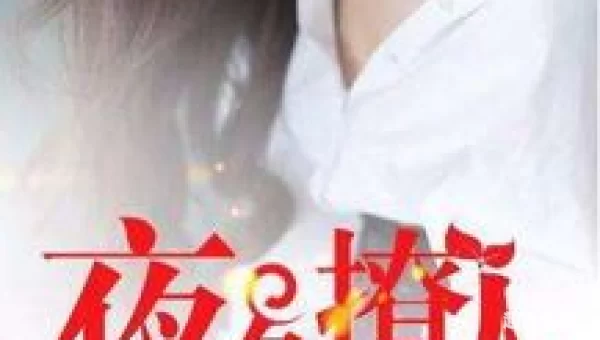 无广告小说