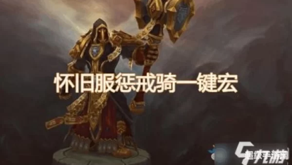 惩戒骑输出宏