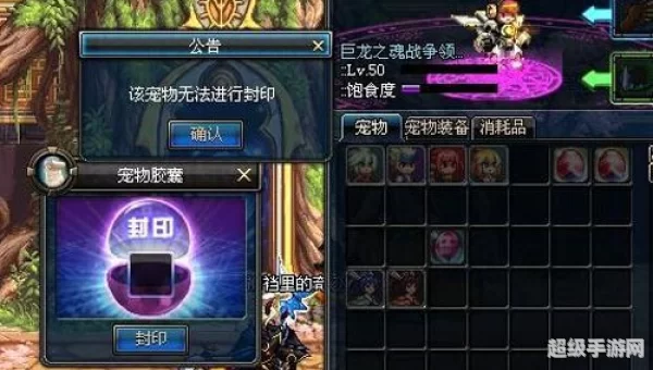 dnf宠物胶囊